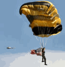 [Maple OLE 2.0 Object]